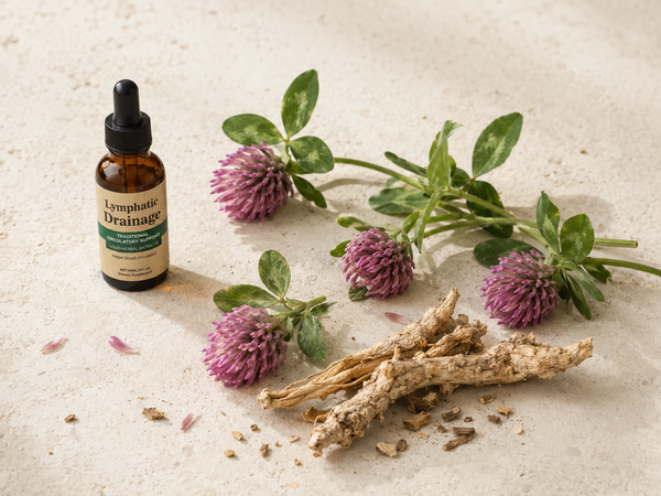 Red Clover (Trifolium pratense) and Stillingia Root with OPTISTASIS Lymphatic Drainage Drops on cream stone — detoxify